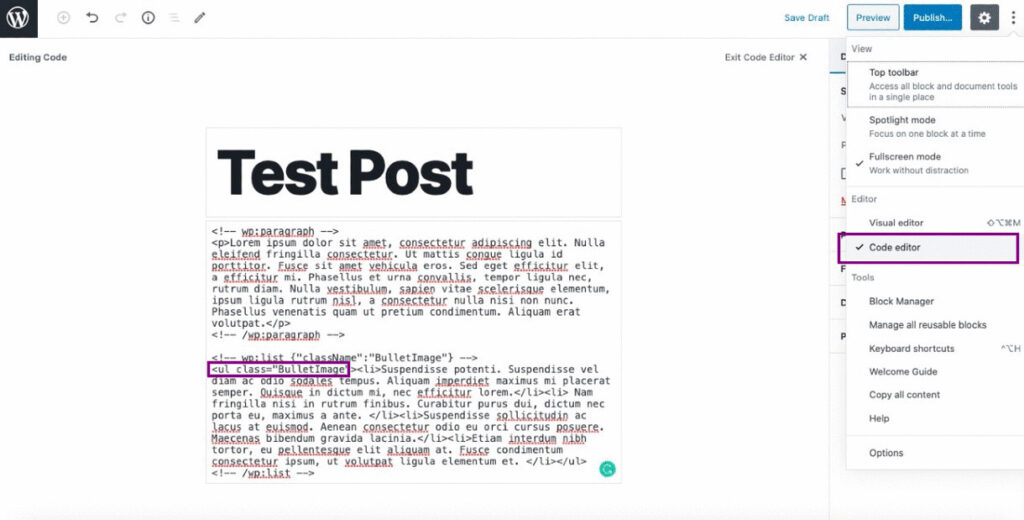 Add custom BulletImage class in code editor